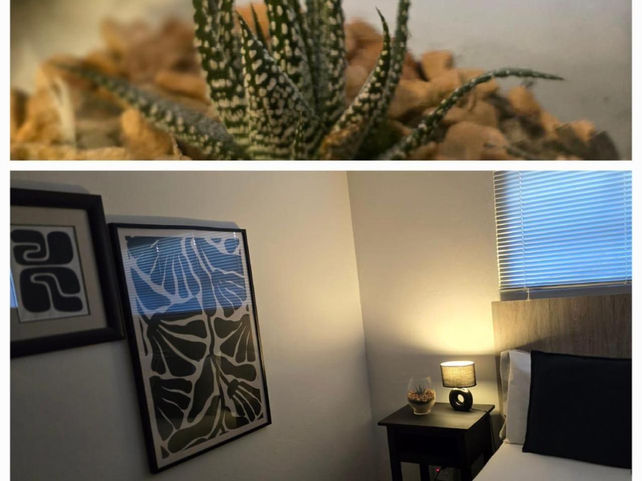The Lantern Guesthouse Bloemfontein Zewnętrze zdjęcie
