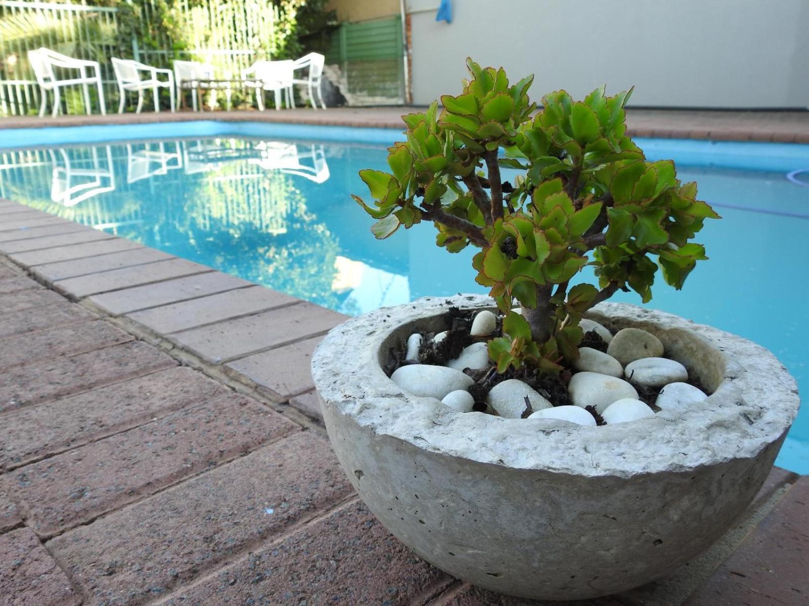 The Lantern Guesthouse Bloemfontein Zewnętrze zdjęcie